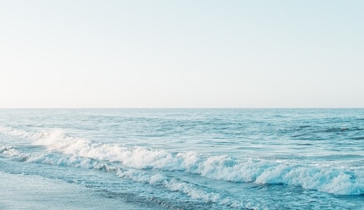 当ブログ運営者「髙木健一」のプロフィール